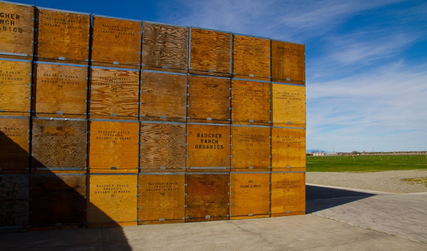 Crates of certified organic almonds at origin